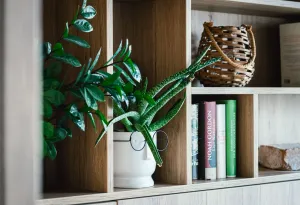 Image of Levy's Rooms & Breakfast