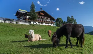 Image of Seiterhof
