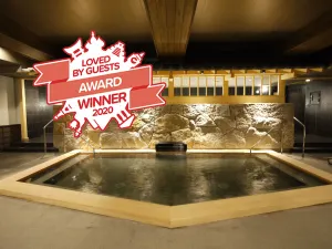 Image of Himeji Castle Grandvrio Hotel