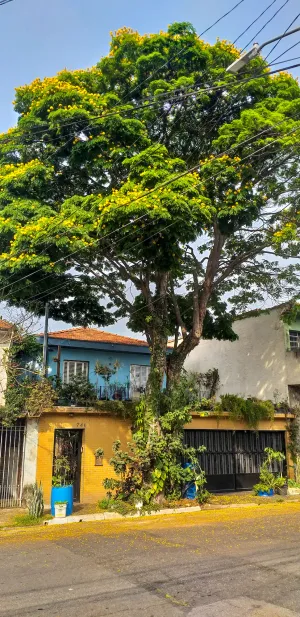 Image of Micasa Hostel - Congonhas