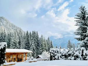 Image of Chalet in Tyrol Near Ski-area