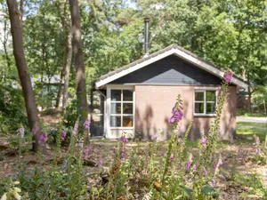 Image of Bungalow in Park De Peel - Car-free Retreat