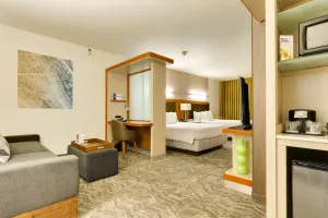 Image of SpringHill Suites by Marriott McAllen Convention Center