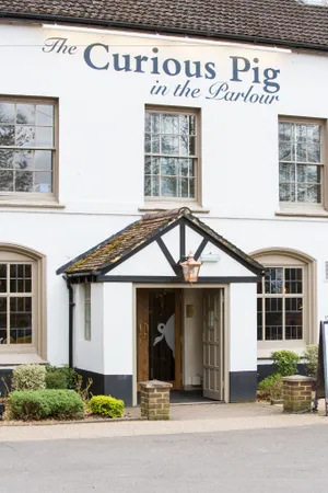Image of The Curious Pig in the Parlour