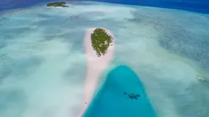Image of Ari Heaven
