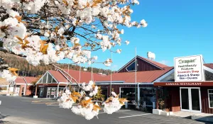 Image of AWA Hotel