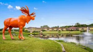 Image of SureStay Plus Hotel by Best Western Black River Falls