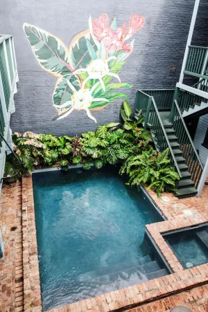 Image of The Frenchmen New Orleans by Kasa Living