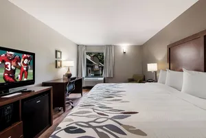 Image of Red Roof Inn Newport News - Yorktown