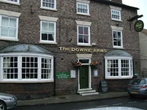 Image of The Downe Arms