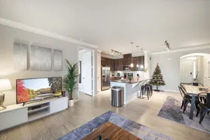 Image of Luxury Townhome Pool North Austin Evonify