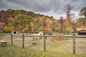 Image of James West Apt with 50 Acres - Near Raystown Lake