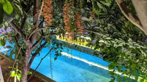 Image of Sarina Hotel & Villa
