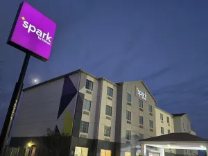 Image of Spark by Hilton Selma