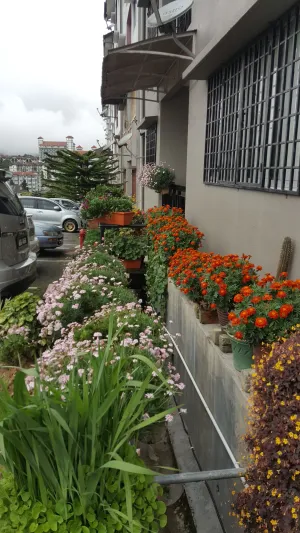 Image of KPW at Royal Lily Apartment