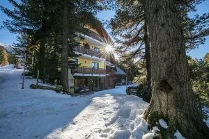 Image of Almhaus Blümel