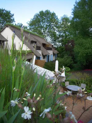 Image of Le Petit Coq aux Champs - Teritoria