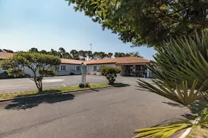 Image of Le Heron Cendré