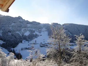 Image of Farm in Gerlosberg Near the ski Area