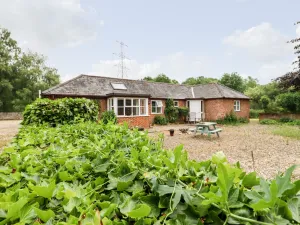 Image of The Brambles