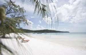 Image of Orchid Resort