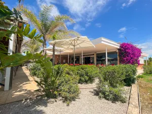 Image of Tres Estrellas