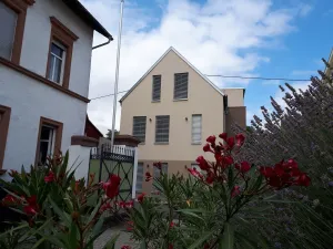 Image of SCHLAFGUT Domhof erleben