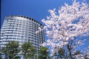 Image of Hotel Grand Arc Hanzomon