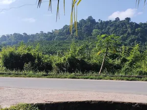 Image of Pano Eco Resort