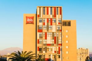 Image of ibis Copiapo