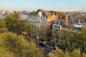 Image of The Rembrandt