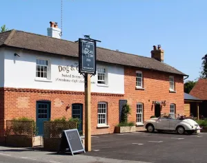 Image of The Dog & Gun Inn