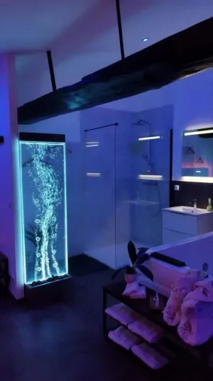 Image of Les Sansonnets Appart & Spa