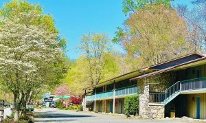 Image of Newfound Lodge on the river