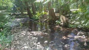 Image of Scott Creek Farm