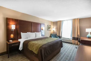 Image of Comfort Inn Bay City - Riverfront