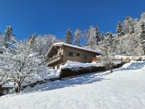Image of Pretty Apartment in Mittersill With a View