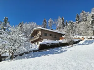 Image of Pretty Apartment in Mittersill With a View