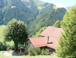 Image of Chalet in Rossiniere With Sauna and Mountain Views