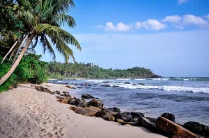 Image of Tamasha Mango Home stay