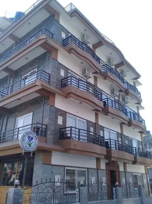 Image of Hotel Basanta inn