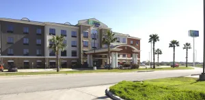 Image of Holiday Inn Express Seguin by IHG