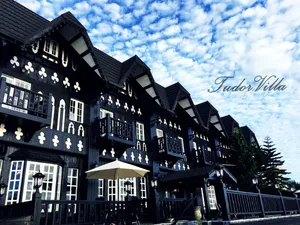 Image of Tudor Dynasty