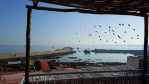 Image of Art studio au bord de la mer