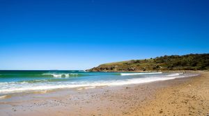 Image of Discovery Parks - Emerald Beach