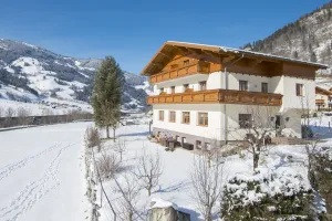 Image of Silberkrug