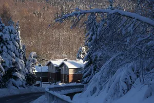 Image of Holiday Home With Garden