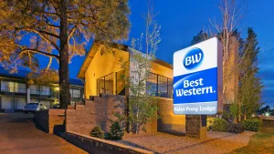 Image of Best Western Paint Pony Lodge