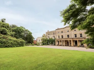 Image of Cook's Flat