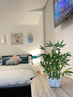 Image of CityNights Studios with Free Parking